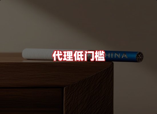 专业团队